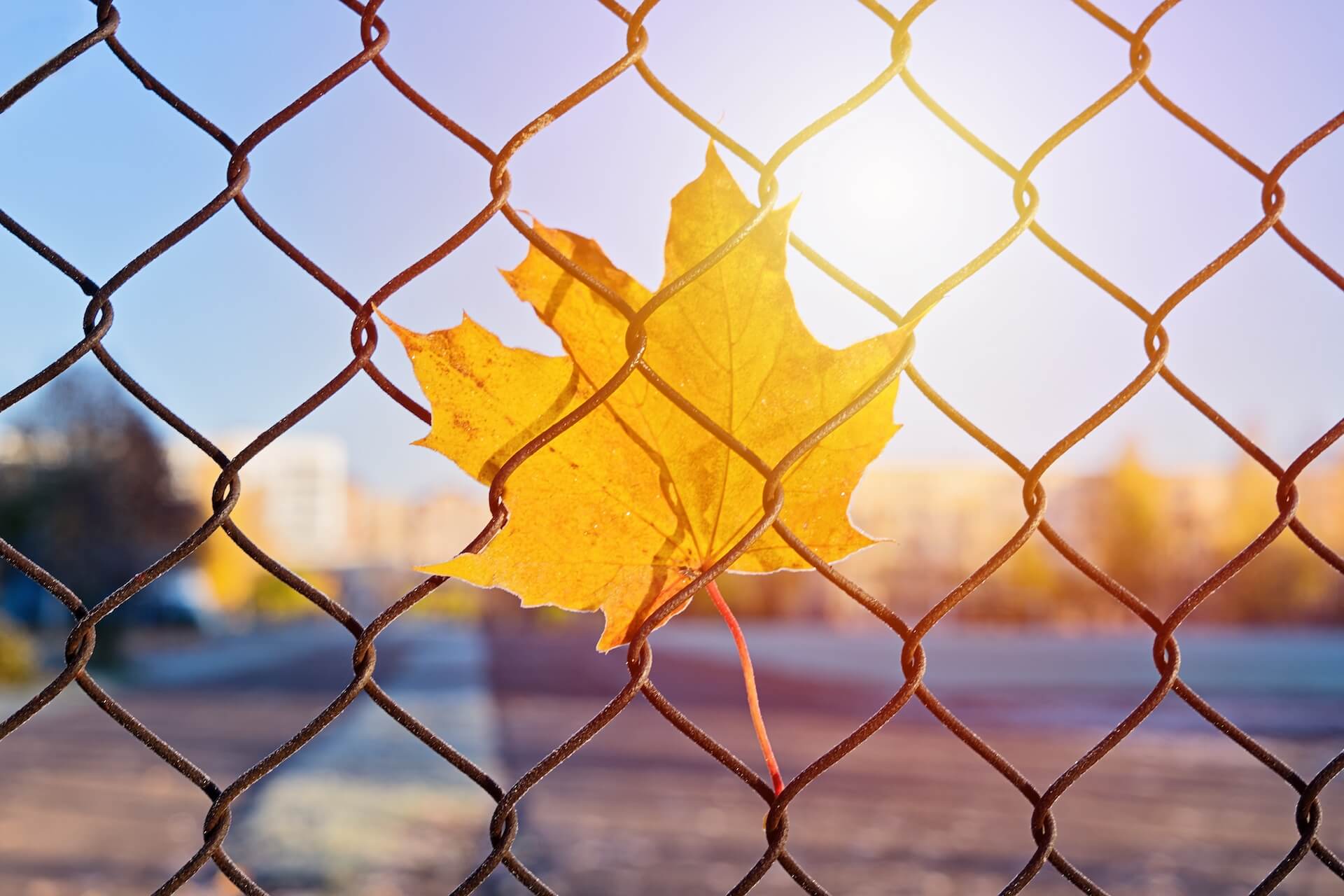 Montaż siatki ogrodzeniowej - szczegółowa instrukcja